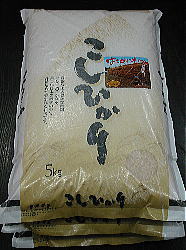 ハサ掛けコシヒカリ