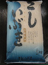 こしいぶき
