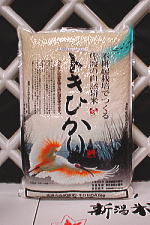 佐渡産のトキヒカリ